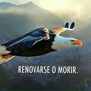 Meet your Posher, Rosy